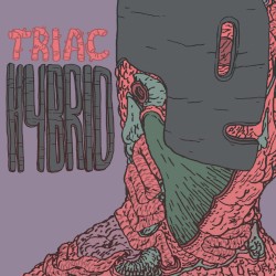 Hybrid