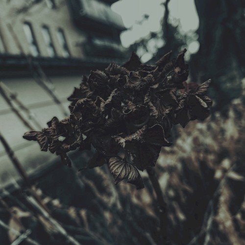 view of life and death