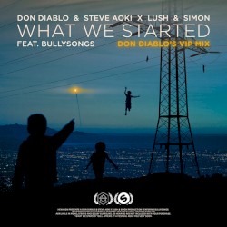 What We Started (Don Diablo’s VIP)