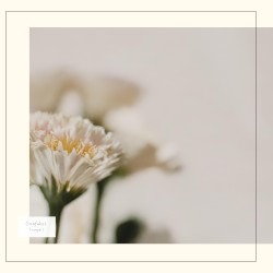 Tranquil