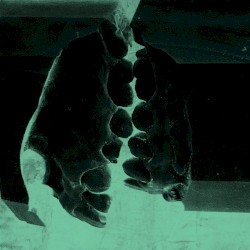 TEETH