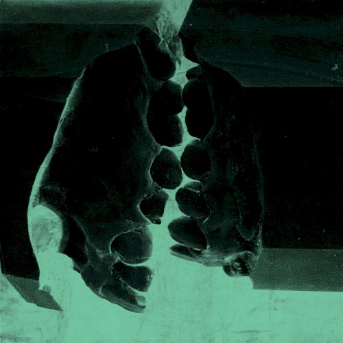 TEETH