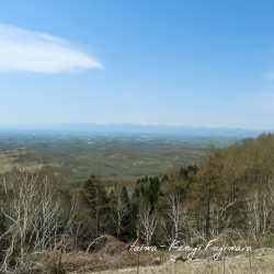 taiwa