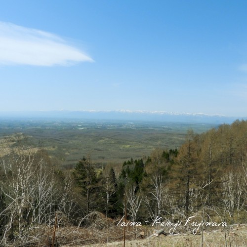 taiwa