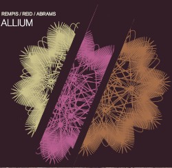 Allium