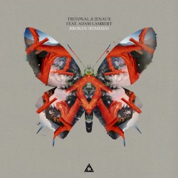 Broken (remixes)