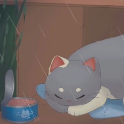 cat in a box