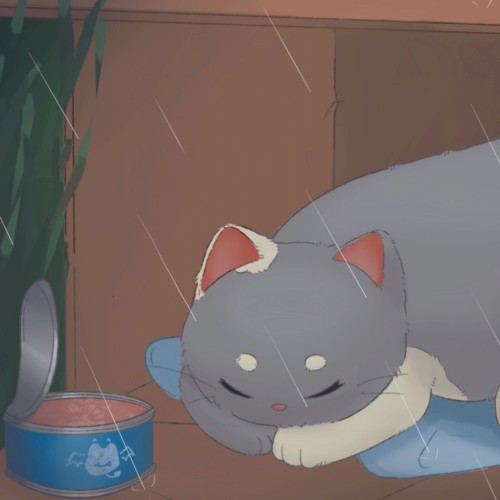 cat in a box