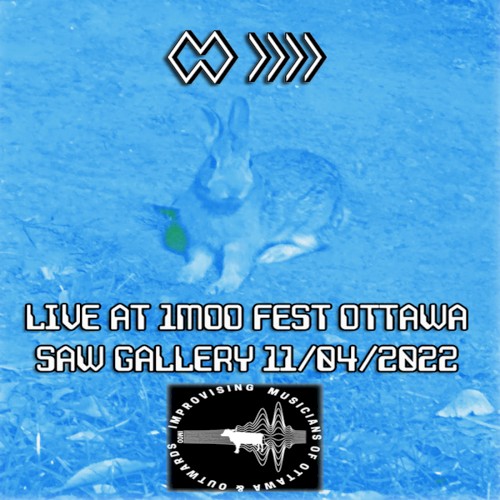Live at IMOO Fest November 4th, 2022