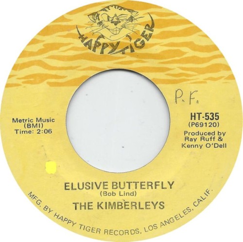 Elusive Butterfly