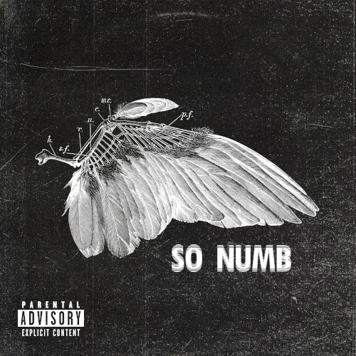 So Numb