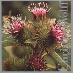 Burdocks