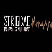 My Past Is Not Today