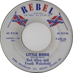 Little Birdie / Faded Memory