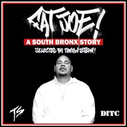 A South Bronx Story