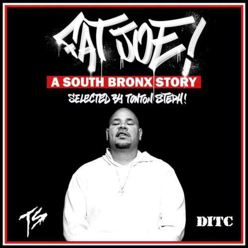 A South Bronx Story