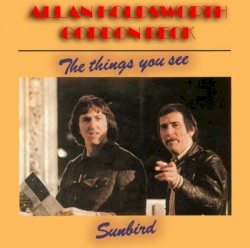 The Things You See / Sunbird