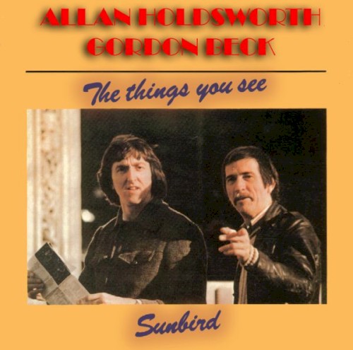 The Things You See / Sunbird
