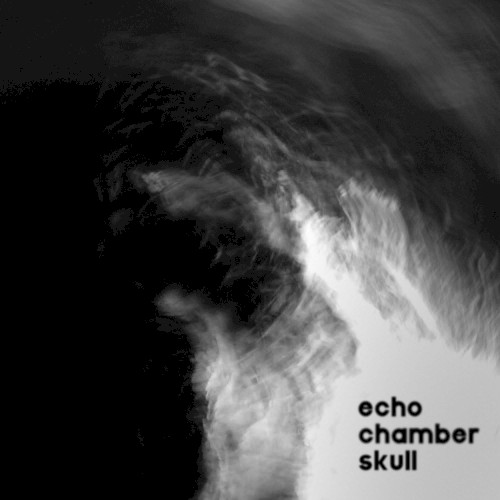 Echo Chamber Skull