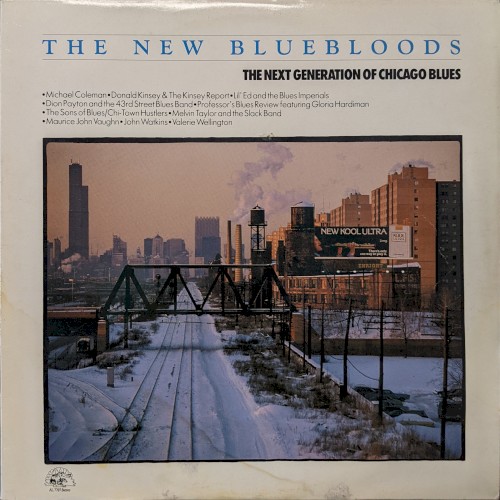 The New Bluebloods (The Next Generation of Chicago Blues)