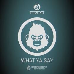 What Ya Say