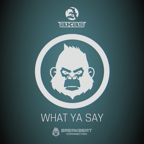 What Ya Say