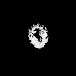 The Besnard Lakes Are A Live