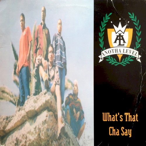 What’s That Cha Say
