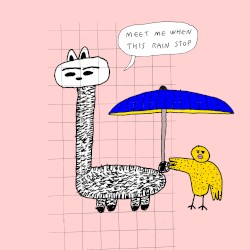 Meet Me When This Rain Stops