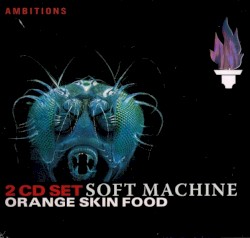 Orange Skin Food