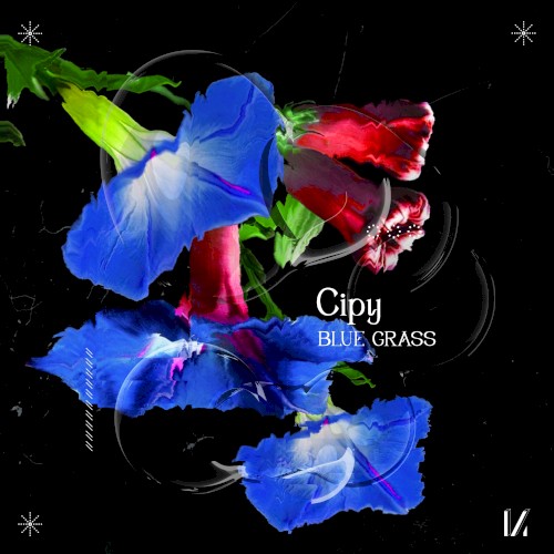 Blue Grass