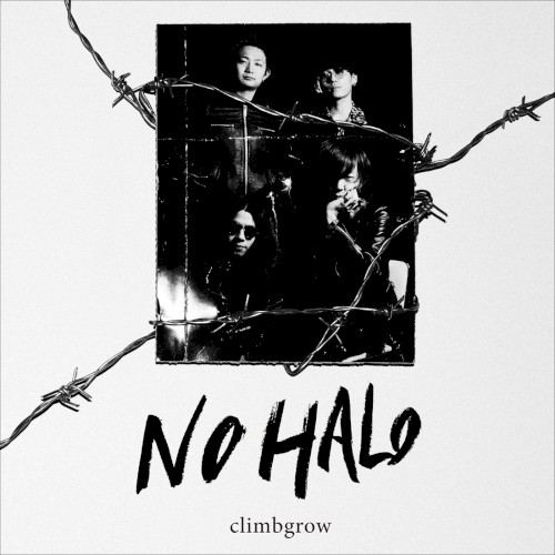 NO HALO