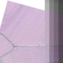 2016