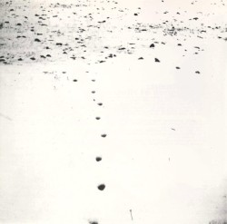 Folds & Rhizomes for Gilles Deleuze
