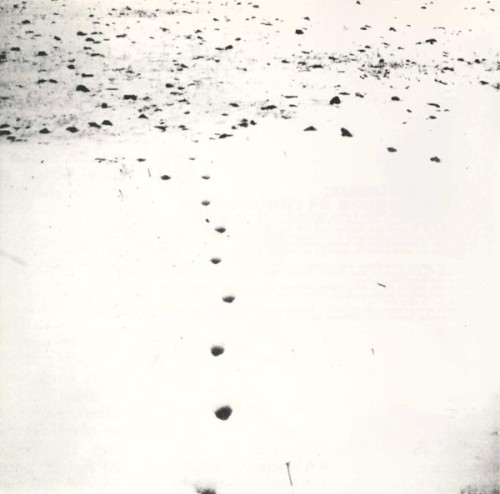 Folds & Rhizomes for Gilles Deleuze