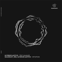 Trip Hammer / Intuition