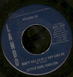 Don't You Need a Boy Like Me / I'll Love You Forever