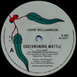 Cootamundra Wattle