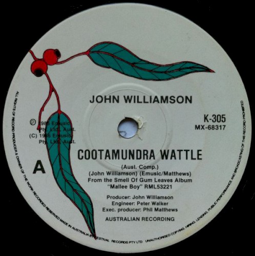 Cootamundra Wattle