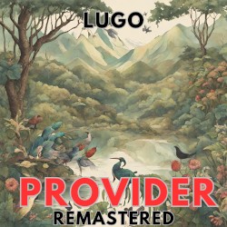 Provider (remastered)
