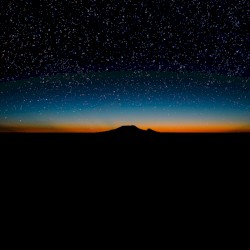 Firefly
