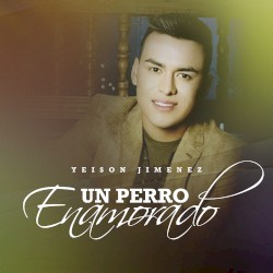 Un perro enamorado