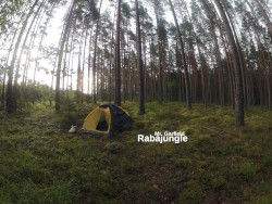 Rabajungle