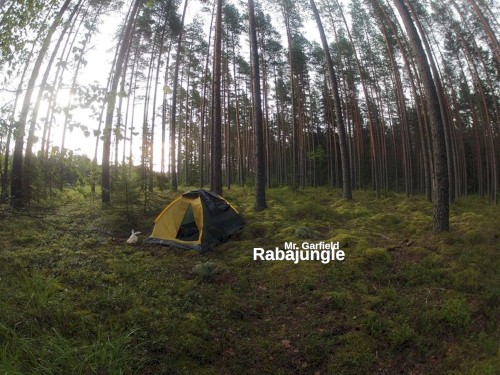 Rabajungle