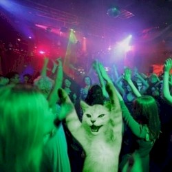 PRIVATE PARTY