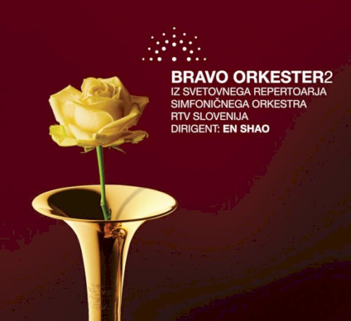 Bravo Orkester 2