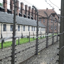 Der Kamin