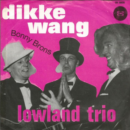 Dikke wang