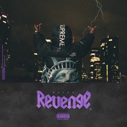 Revenge