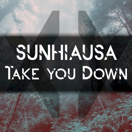 Take You Down
